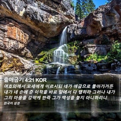 출애굽기 4:21 KOR Bible Verse Image
