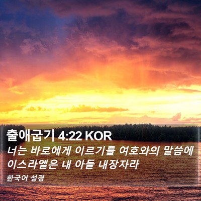 출애굽기 4:22 KOR Bible Verse Image