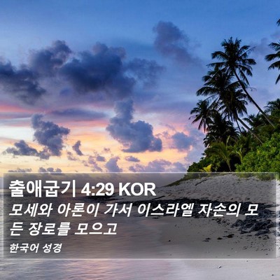 출애굽기 4:29 KOR Bible Verse Image