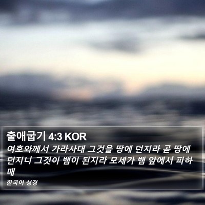 출애굽기 4:3 KOR Bible Verse Image