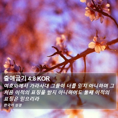 출애굽기 4:8 KOR Bible Verse Image