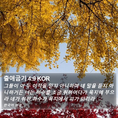 출애굽기 4:9 KOR Bible Verse Image