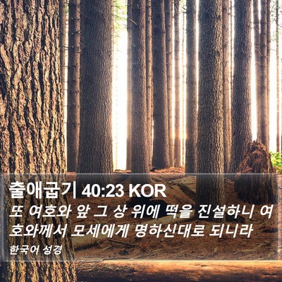 출애굽기 40:23 KOR Bible Verse Image