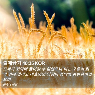 출애굽기 40:35 KOR Bible Verse Image