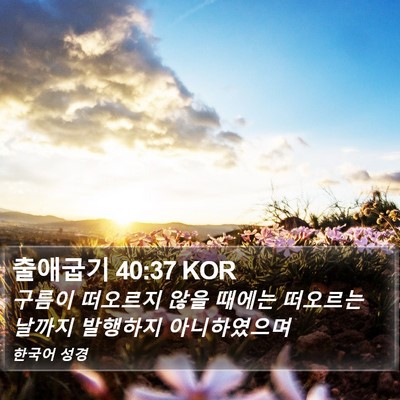 출애굽기 40:37 KOR Bible Verse Image