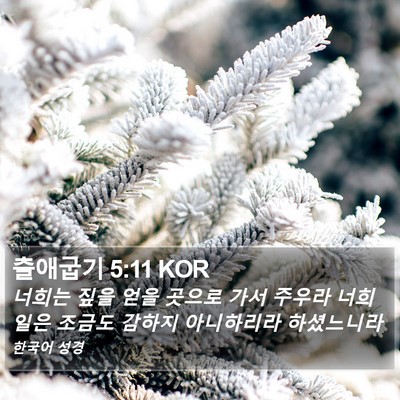 출애굽기 5:11 KOR Bible Verse Image