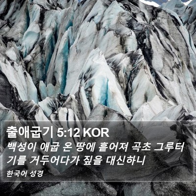 출애굽기 5:12 KOR Bible Verse Image