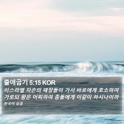 출애굽기 5:15 KOR Bible Verse Image