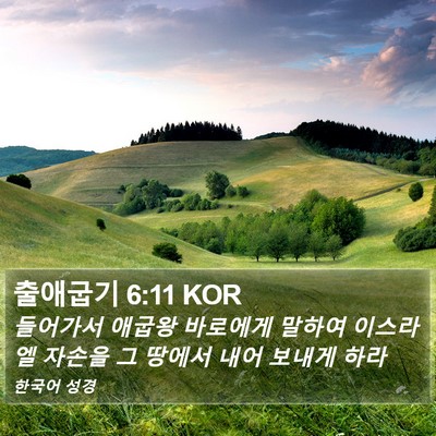 출애굽기 6:11 KOR Bible Verse Image