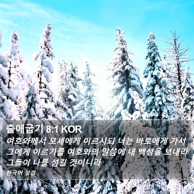출애굽기 8:1 KOR Bible Verse Image