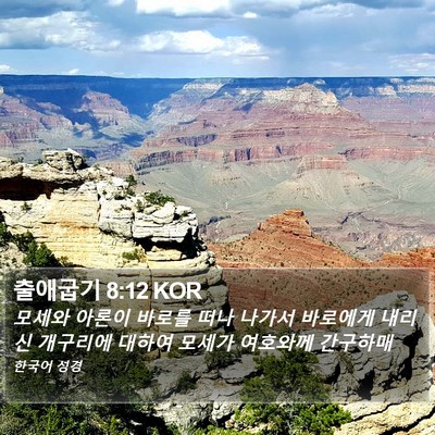 출애굽기 8:12 KOR Bible Verse Image