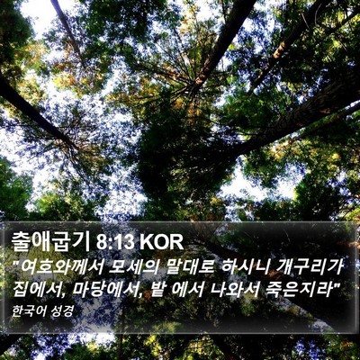 출애굽기 8:13 KOR Bible Verse Image