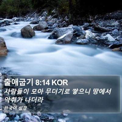 출애굽기 8:14 KOR Bible Verse Image