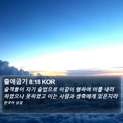 출애굽기 8:18 KOR Bible Verse Image