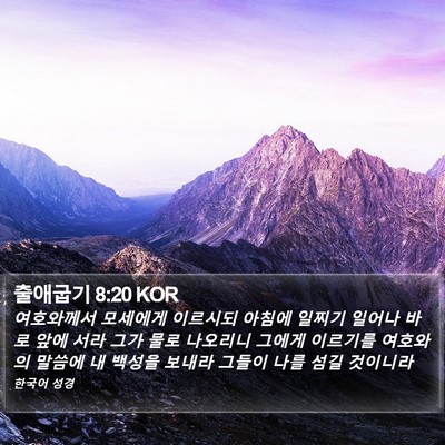출애굽기 8:20 KOR Bible Verse Image