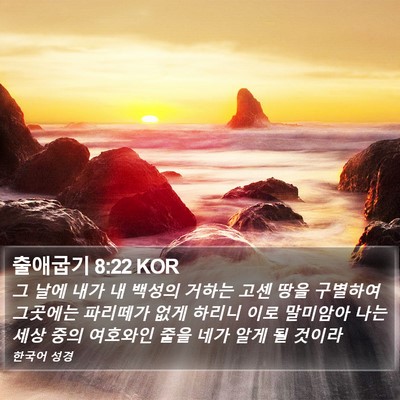 출애굽기 8:22 KOR Bible Verse Image