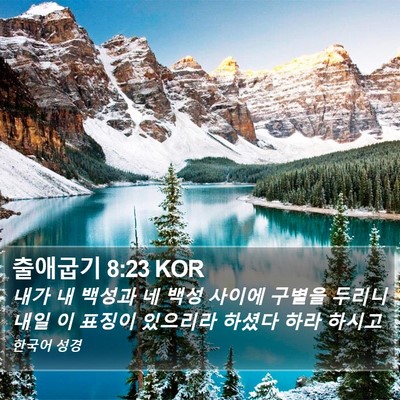 출애굽기 8:23 KOR Bible Verse Image