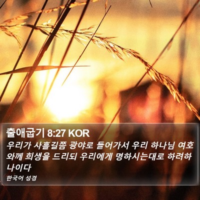 출애굽기 8:27 KOR Bible Verse Image