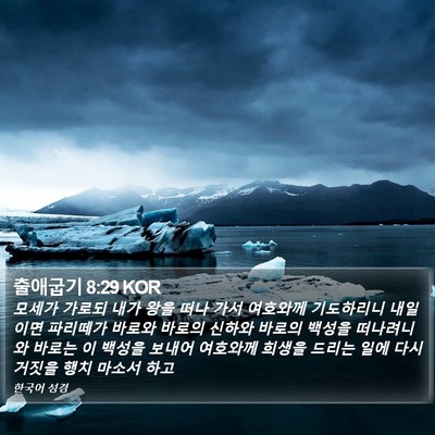 출애굽기 8:29 KOR Bible Verse Image
