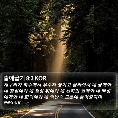 출애굽기 8:3 KOR Bible Verse Image