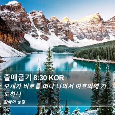 출애굽기 8:30 KOR Bible Verse Image