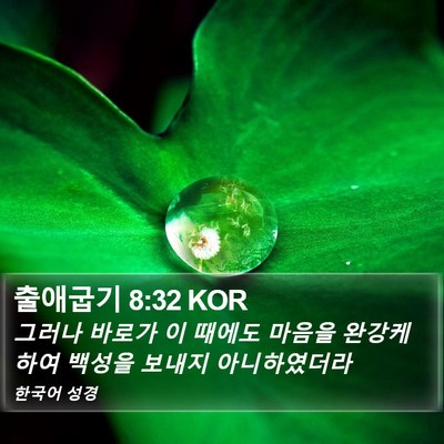 출애굽기 8:32 KOR Bible Verse Image