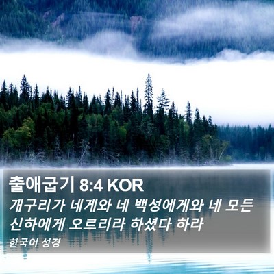 출애굽기 8:4 KOR Bible Verse Image