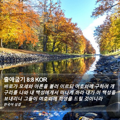 출애굽기 8:8 KOR Bible Verse Image