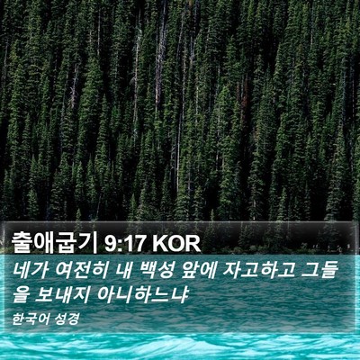 출애굽기 9:17 KOR Bible Verse Image