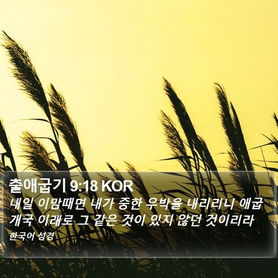 출애굽기 9:18 KOR Bible Verse Image