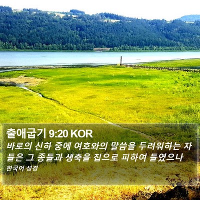 출애굽기 9:20 KOR Bible Verse Image