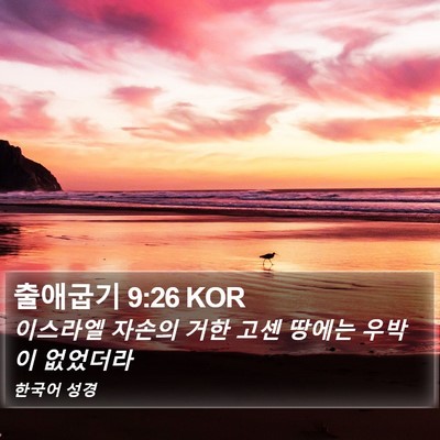 출애굽기 9:26 KOR Bible Verse Image