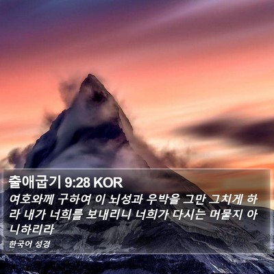 출애굽기 9:28 KOR Bible Verse Image