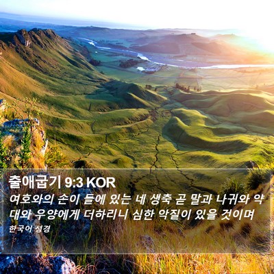 출애굽기 9:3 KOR Bible Verse Image