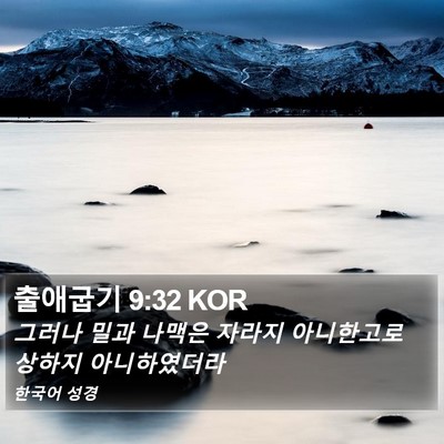 출애굽기 9:32 KOR Bible Verse Image