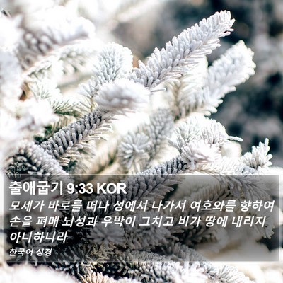 출애굽기 9:33 KOR Bible Verse Image