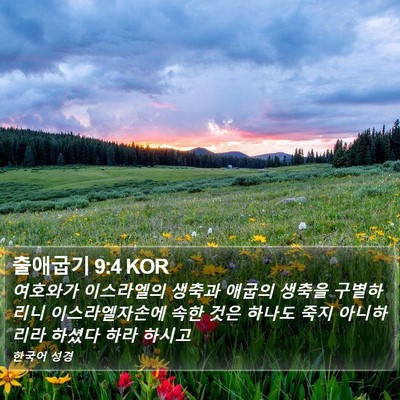 출애굽기 9:4 KOR Bible Verse Image