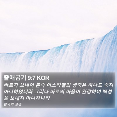 출애굽기 9:7 KOR Bible Verse Image