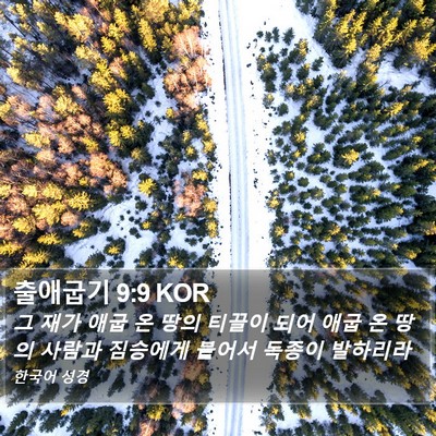 출애굽기 9:9 KOR Bible Verse Image