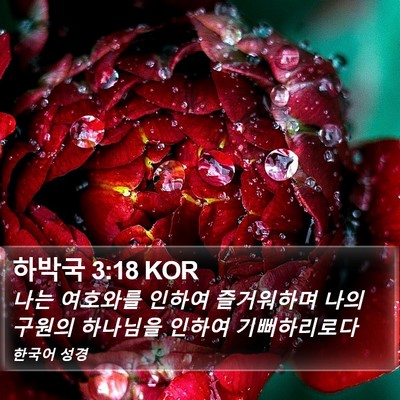 하박국 3:18 KOR Bible Verse Image