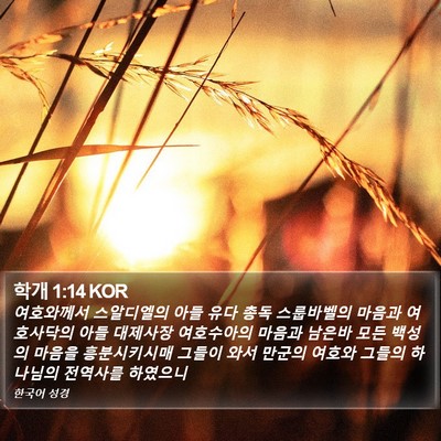 학개 1:14 KOR Bible Verse Image
