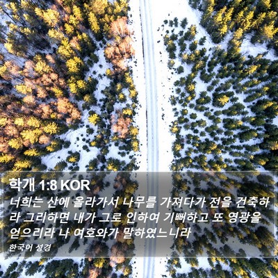 학개 1:8 KOR Bible Verse Image