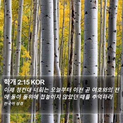 학개 2:15 KOR Bible Verse Image