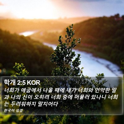 학개 2:5 KOR Bible Verse Image