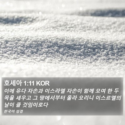 호세아 1:11 KOR Bible Verse Image