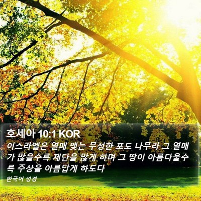 호세아 10:1 KOR Bible Verse Image