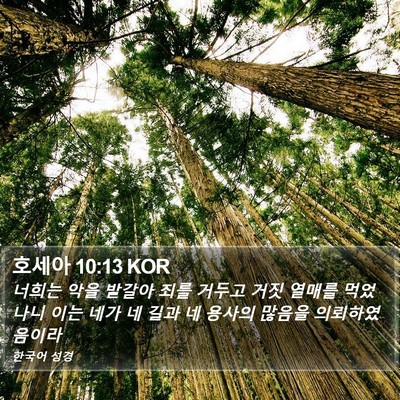 호세아 10:13 KOR Bible Verse Image