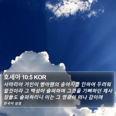 호세아 10:5 KOR Bible Verse Image