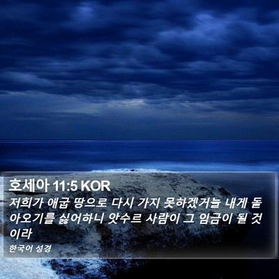 호세아 11:5 KOR Bible Verse Image
