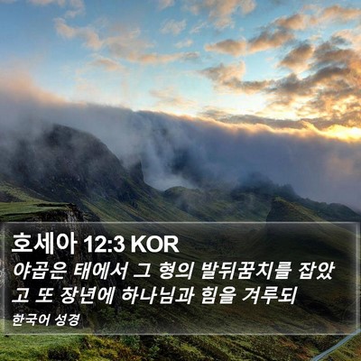 호세아 12:3 KOR Bible Verse Image